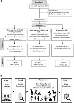 Fourteen weeks of multicomponent training associated with flexibility training modifies postural alignment, joint range of motion and modulates blood pressure in physically inactive older women: a randomized clinical trial